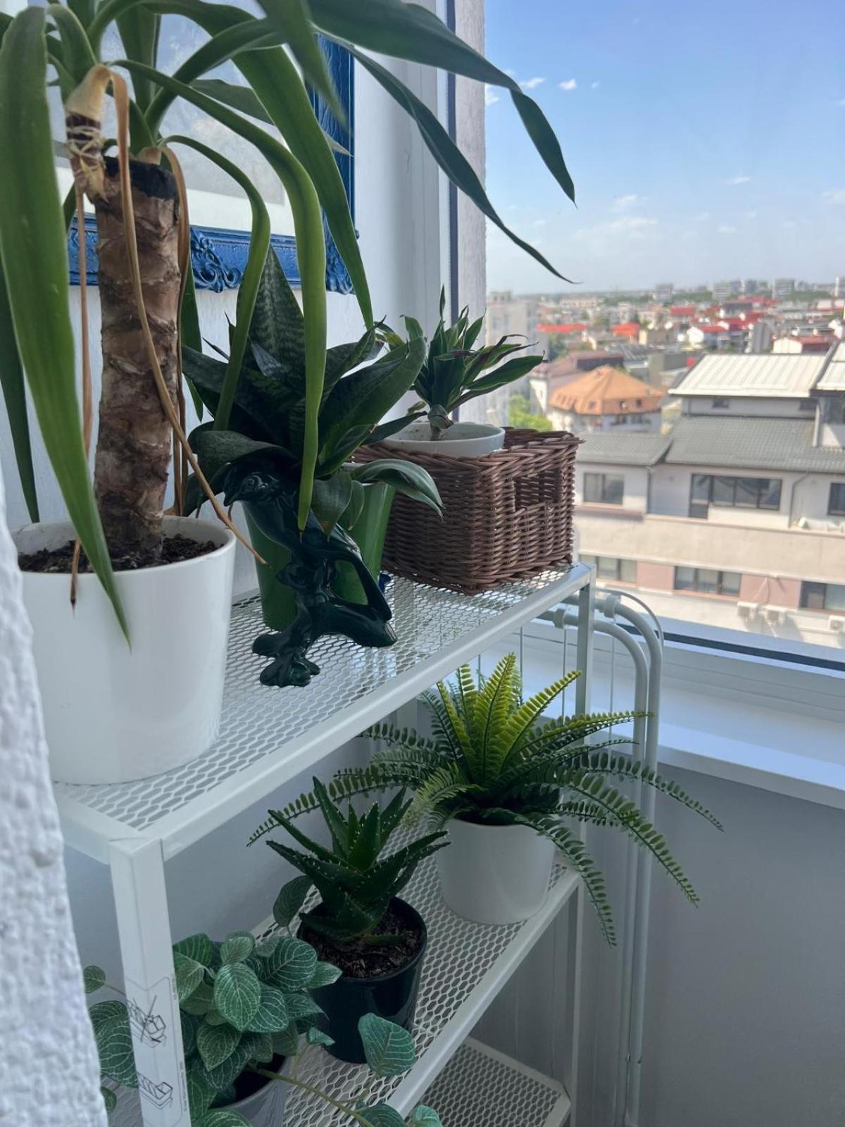 1Bdr Apartment Perla 225 Bucarest Extérieur photo